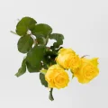 Фото 3